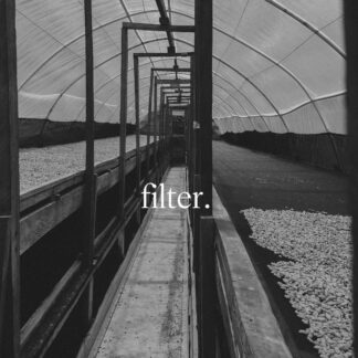 filter